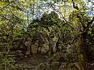 Der Felsen mit Moos bewachsen liegt umgeben von Bäumen im Naturschutzgebiet.