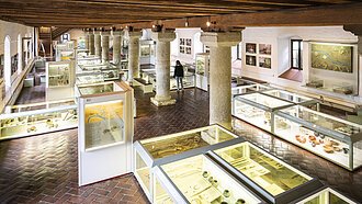 Museumsausstellung mit Vitrinen, archäologischen Funden und einer Person vor Säulen in historischem Gebäude